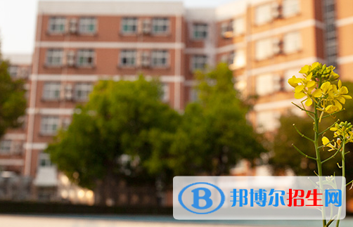 安徽2023年读什么汽修学校