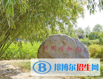 河南2023年好点的大专卫校