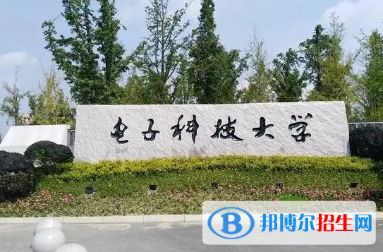 电子科技大学电子科技大学双一流学科有哪些？（2022）