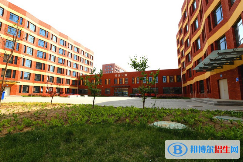石家庄2023年计算机学校是干什么的