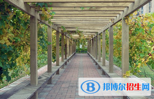 安徽2023年汽修学校可以学什么