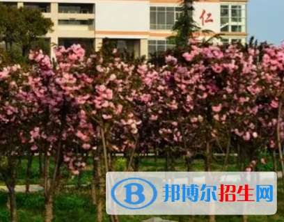 河南2023年哪些大专的卫校比较好