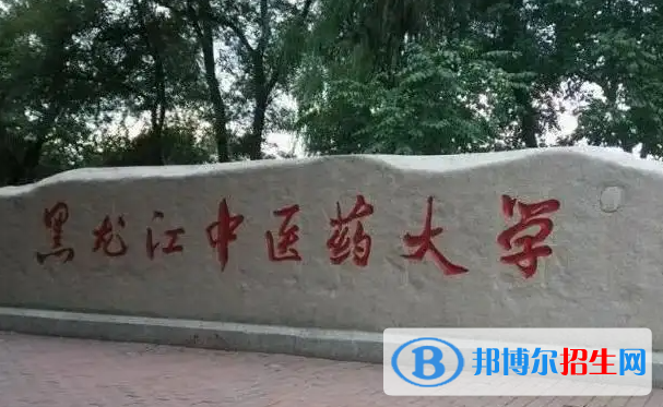 2023黑龙江理科290分左右能上什么好大学（本省大学+外省大学）