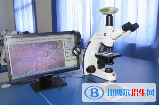 陕西2023年中专学校什么专业比较好