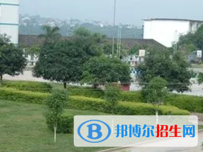 广西2023年附近有哪些计算机学校