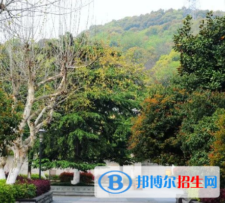 杭州2023年什么中专学校最好