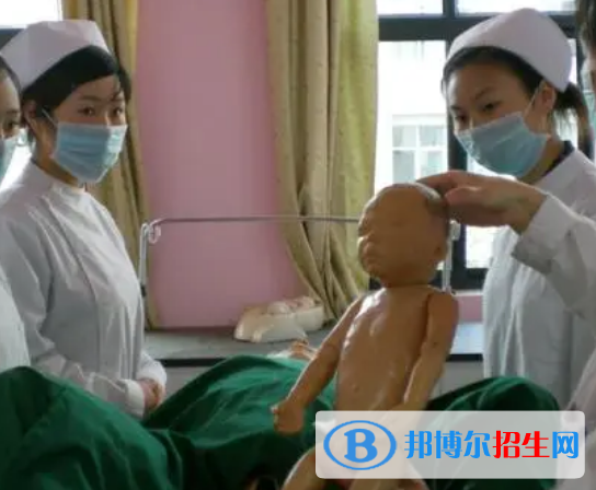 河南2023年卫校理论包括什么