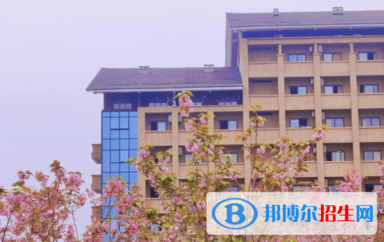 浙江2023年初中生能考中专吗