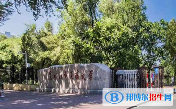 2023黑龙江文科510分左右能上什么好大学（本省大学+外省大学）