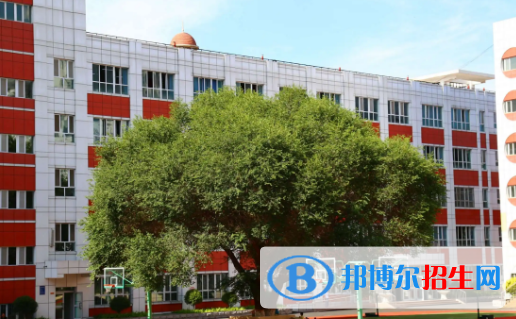 2023年乌鲁木齐中学最新排行榜