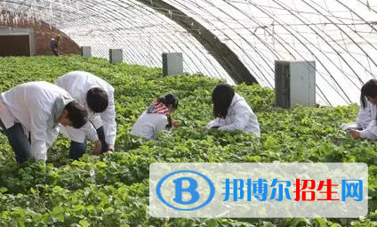 大学农村经营管理专业可以从事哪些工作？