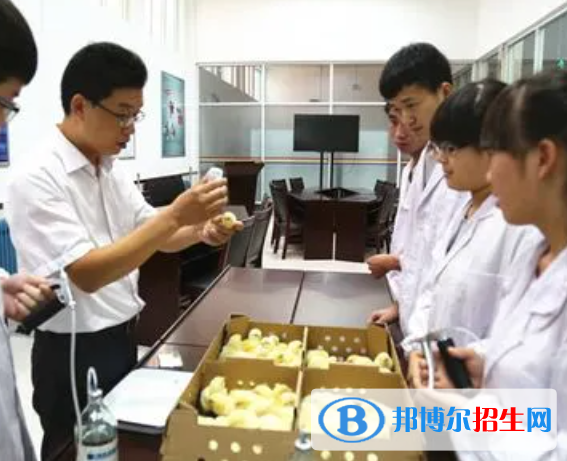 大学动植物检疫专业可以从事哪些工作？