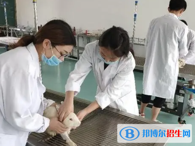 大学动物医学检验技术专业可以从事哪些工作？