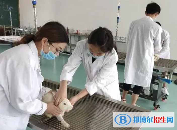 大学动物防疫与检疫专业可以从事哪些工作？