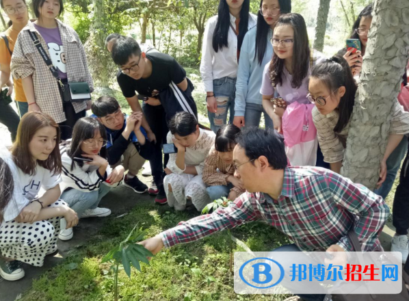 杭州2023年中专学校有哪些专业最好