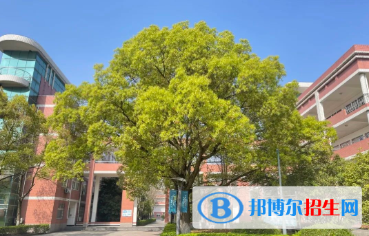 浙江2023年中专学校是什么意思