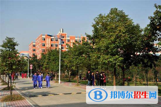 山东2023年初中生怎么上中专