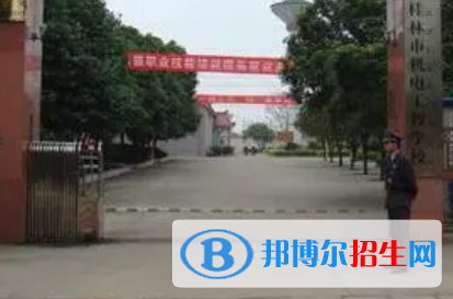 广西2023年计算机学校算什么学历
