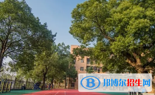 湖南2023年初中毕业可以上什么中专学校