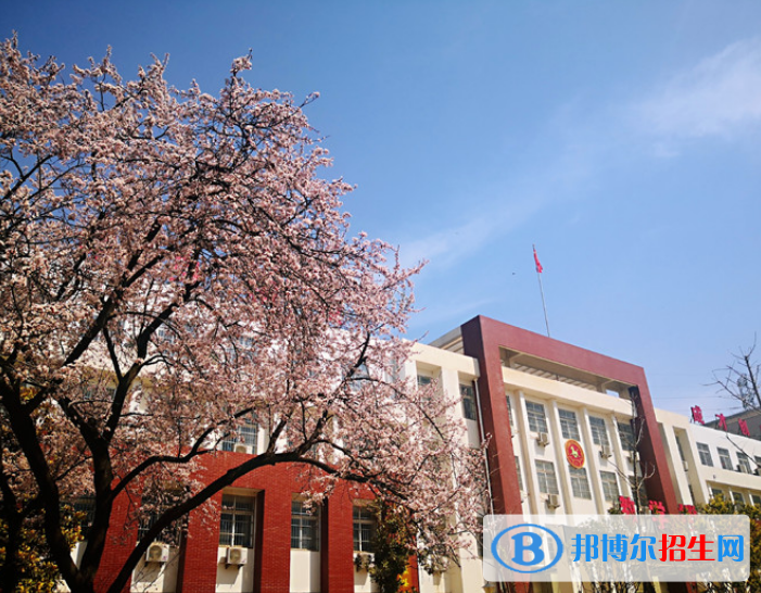 陕西2023年职高和中专学校有哪些区别