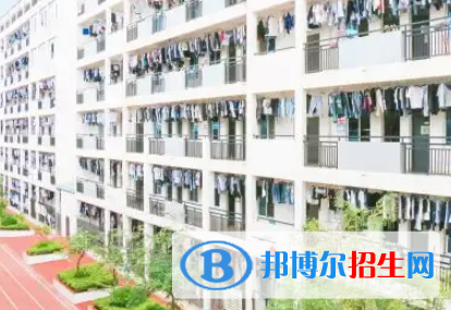 广西2023年计算机学校都能学什么
