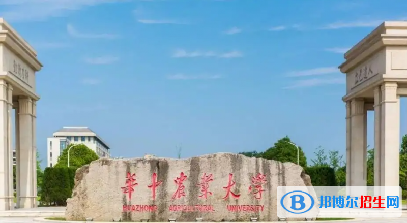 2023湖北物理类585分左右能上什么好大学（本省大学+外省大学）