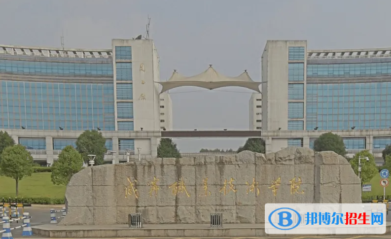 2023湖北历史类435分左右能上什么好大学（本省大学+外省大学）
