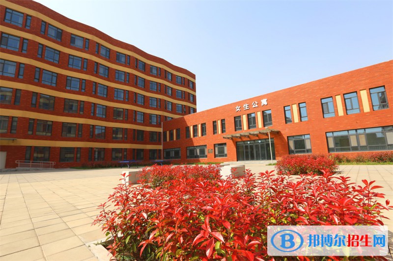 石家庄2023年计算机学校和中专有哪些区别