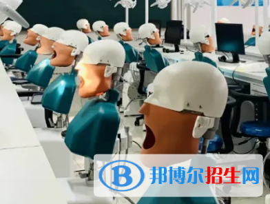 河南2023年卫校都有什么专业适合男生