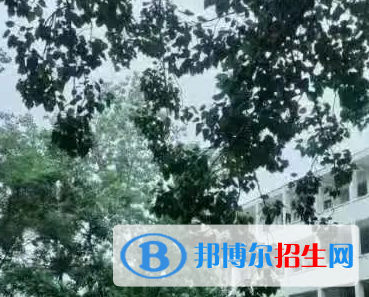 河南2023年适合男生的卫校