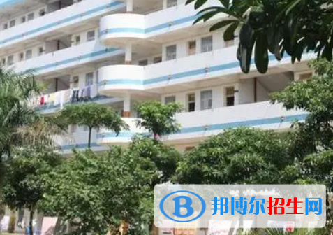 百色职业学院是大专还是中专（百色职业学院）