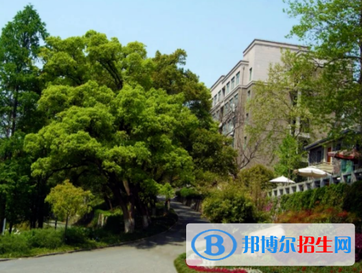 杭州2023年上什么中专学校好