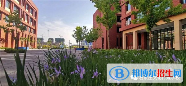 石家庄2023年有哪些计算机学校