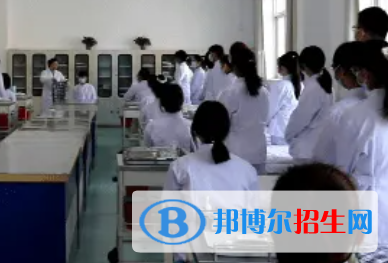 河南2023年男生读卫校