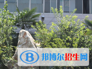 河南2023年男生读什么卫校