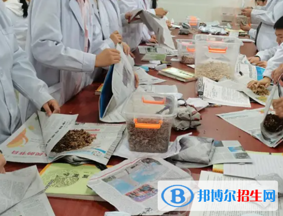 河南2023年卫校都有什么专业适合女生