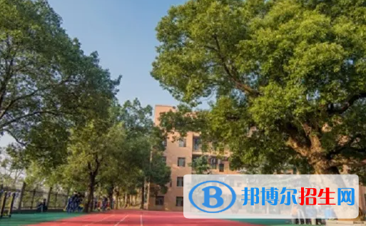 湖南2023年初中毕业读什么中专