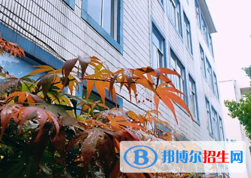 杭州2023年中专学校读什么专业好