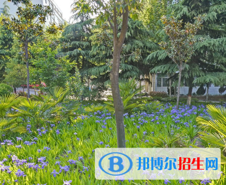 河南2023年女生上什么卫校比较好