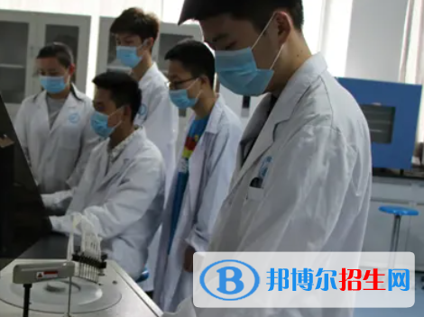 河南2023年卫校中专升大专考什么