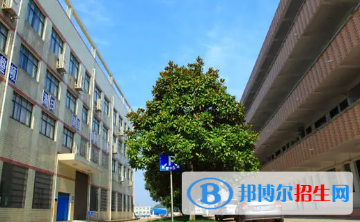 湖南2023年中专学校学什么