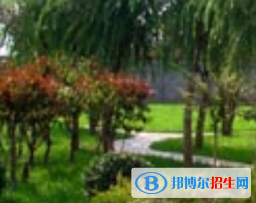 河南2023年哪所卫校就业比较好