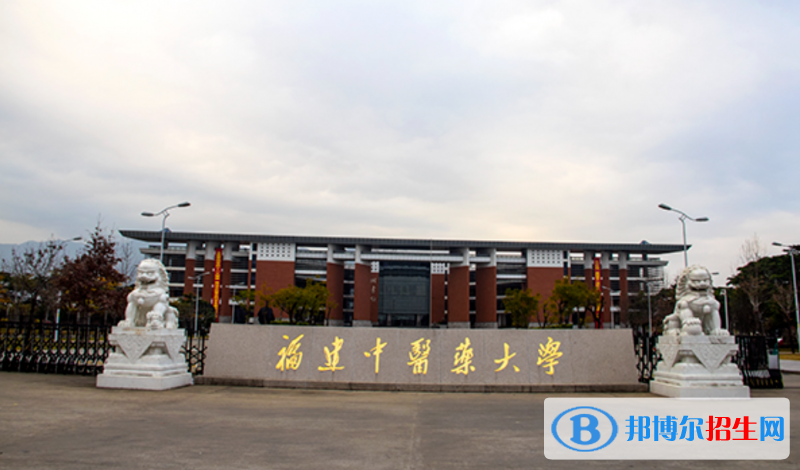 2023福建物理类500分左右能上什么好大学（本省大学+外省大学）