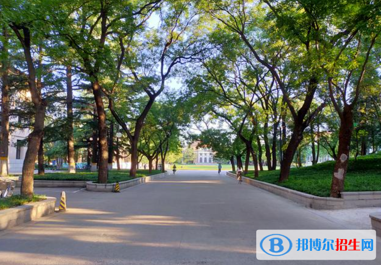 陕西2023年上中专学校有什么要求