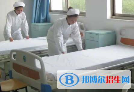 河南2023年卫校有哪些科目