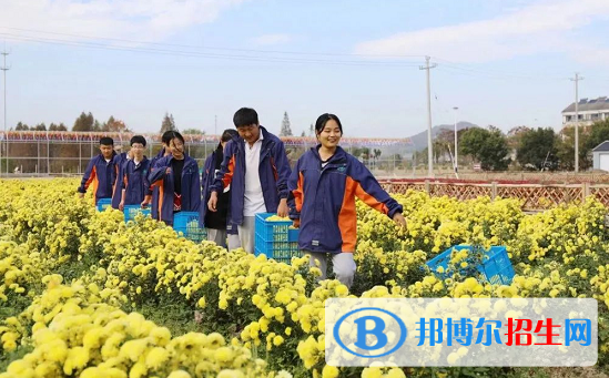 浙江2023年上中专学校学什么好
