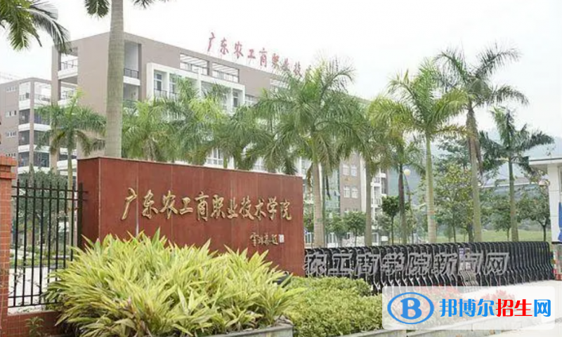 2023广东历史类295分左右能上什么好大学（本省大学+外省大学）