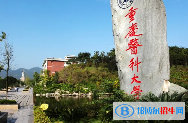 2023重庆历史类545分左右能上什么好大学（本省大学+外省大学）