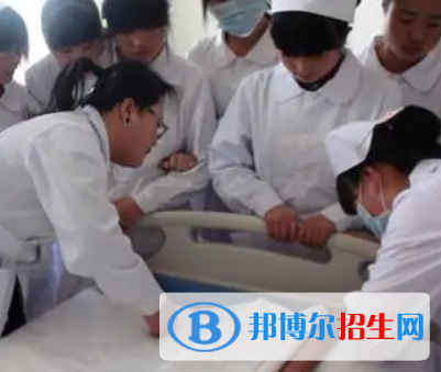 河南2023年读卫校学什么技术好