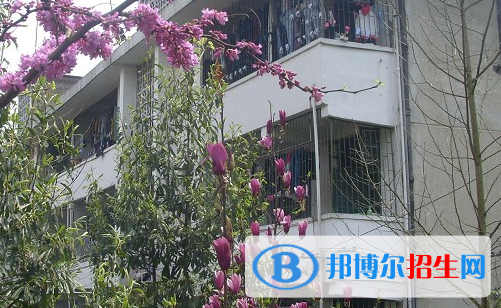 湖南2023年有什么中专学校最好
